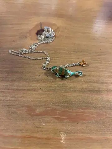 [ 1/2까지 ] 카멜레온 목걸이