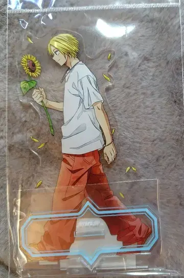 사카데이 아사쿠라 신 아크릴 스탠드 계절의 발걸음 ver.