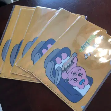 캐릭터 클리어 파일 5장 세트