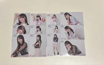 이콜럽 노구치 이오리 생탄 브로마이드 2021 12장 묶음 판매