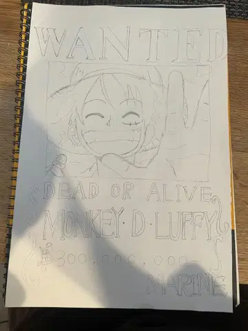몽키 D 루피 현상 수배 포스터