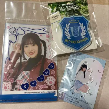 사토요시 우타노 FSK 배지 파일 세트