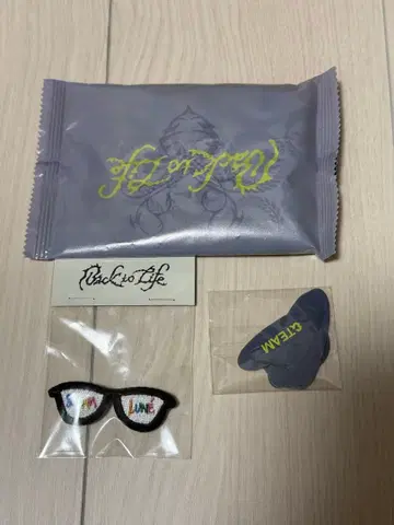 &TEAM HARUA 하루아 BTL 미니 팬미팅 와펜 배지