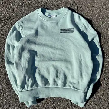 LACOSTE 맨투맨 34