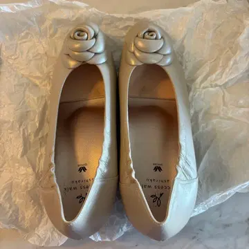 와코루 서세스워크 아시라쿠 펌프스