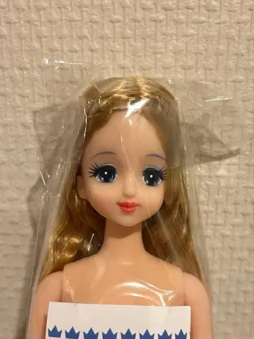 미개봉 새상품 오타노시미 인형 초대 제니 리카짱 캐슬