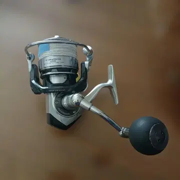 DAIWA 카탈리나 4000 OH 점검