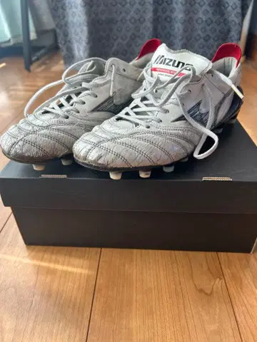 모렐리아 네오 IV Japan