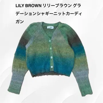 LILY BROWN 그라데이션 가디건