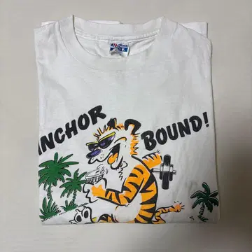 90년대 Hanes BEEFY-T 칼빈과 홉스 빈티지