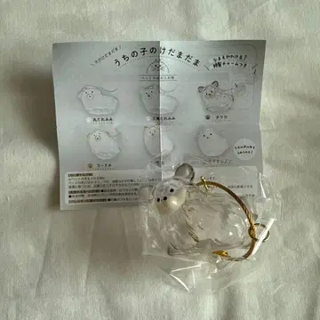 우리 집 강아지 털뭉치 치와와