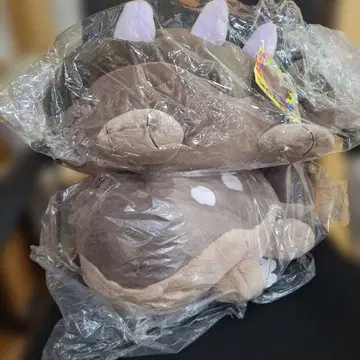 미개봉 드오 누들누들 안고 자는 봉제 인형 모우독키켄 포켓몬 센터