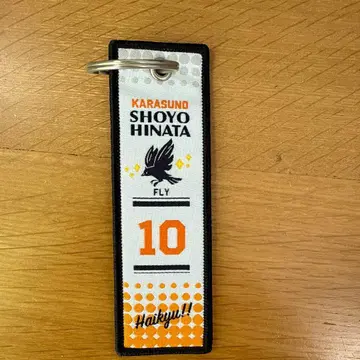 하이큐!! 플라이트 택 키링 히나타 쇼요