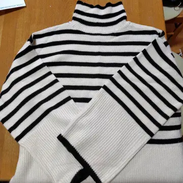 스트라이프 터틀넥 니트