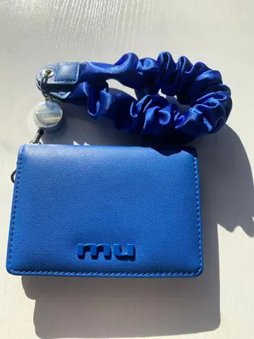 파란색 합성 피혁 카드 케이스 스크런치 포함