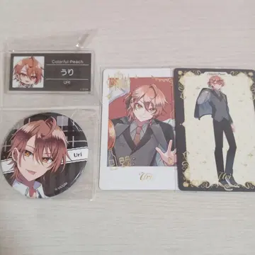 카라피치 유리 파라피치 캔뱃지 이름 뱃지 푸피파 트레이딩 카드