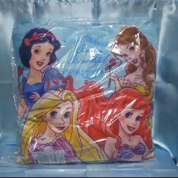 디즈니 프린세스 세트