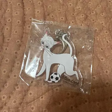 블루 록 x 블랙 고양이 디자인 나기 세이시로 아크릴 키링