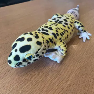 레오파드 도마뱀 봉제 인형