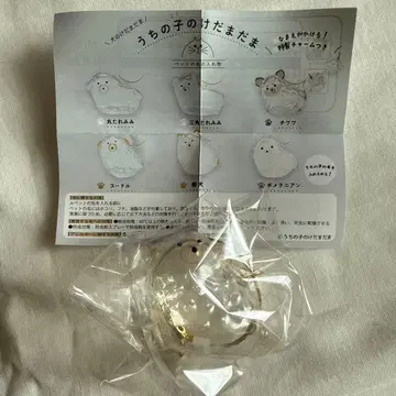 우리 아이 털뭉치 푸들