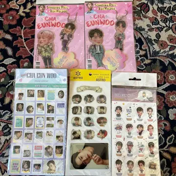 CHA EUNWOO 차은우 스탠드 인형 키링 씰 5개 세트