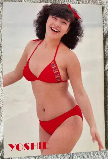 카시와바라 요시에 부록