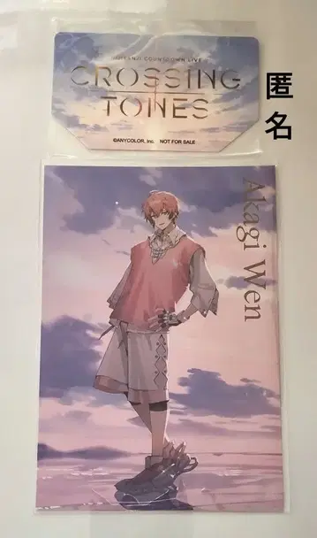 니지산지 아카기 웬 마네키네코 COUNTDOWN 엽서