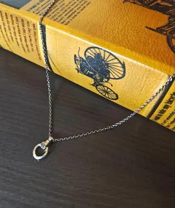 agete 아가트 실버 목걸이 핸드 모티브 밤