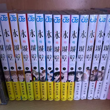 얼음 성벽 전권