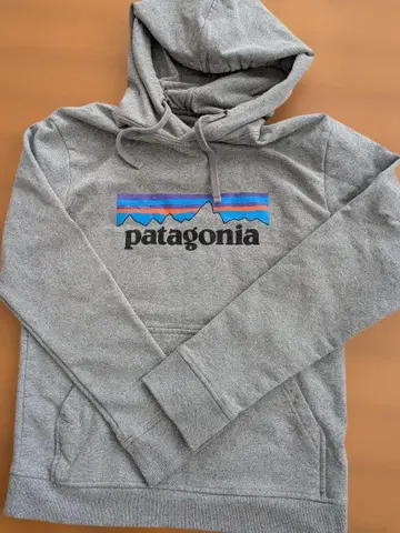 patagonia 댄서 후디 XS 그레이