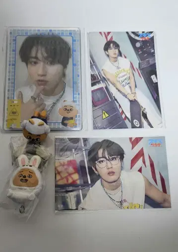 [모두 공식] SKZOO 한쿼카 한 5세트