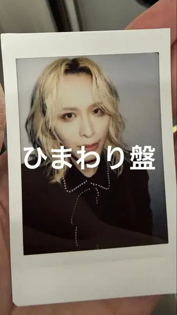 DEZERT 해바라기반 miyako 폴라로이드