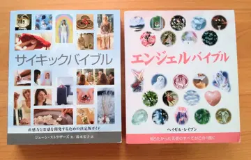 사이킥 바이블 & 엔젤 바이블 2권 세트 / 직감력 영력 천사의 모든 것