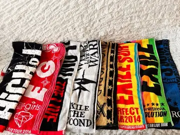 삼대, EXILE, TheSECOND, Egirls 사용 타월 세트