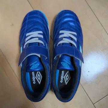UMBRO 축구 트레이닝 슈즈 22.0cm