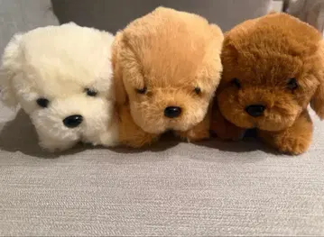 [ 3마리 세트 ] 단풍나무 아이 골든 리트리버 강아지 봉제 인형