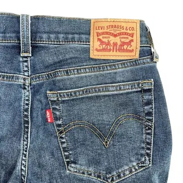 리바이스 Borrowed From The Boys 25