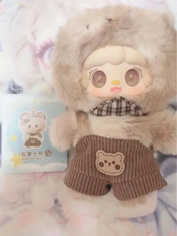 yooki 요키 동면 계획