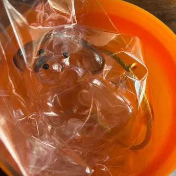 우리 아이 털뭉치 강아지 한정판 모듬 믹스 1개