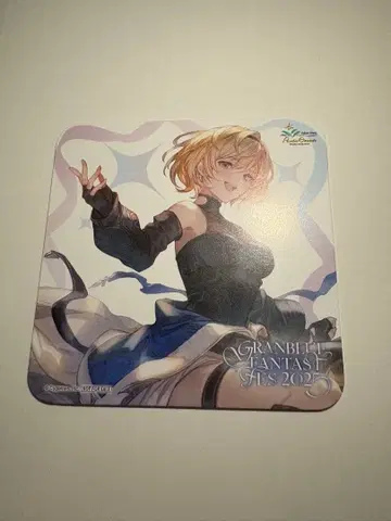 그래페스 2025 코스터 지타