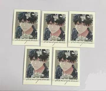 기븐 파샤코레 PREMIUM 우에노야마 리츠카 5장 2