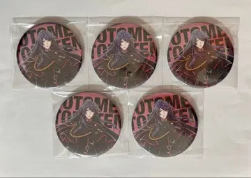 히프마이 토호텐 오토메 팬미팅 캔뱃지 5개 세트