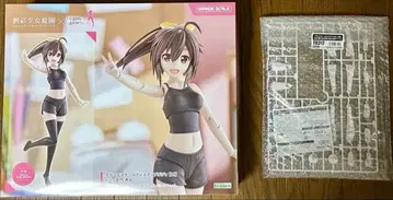 그랑데스케일 드레스업 바디 겐나이 아오 특전 포함 미개봉 미사용품