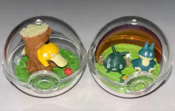 포켓몬 테라리움 컬렉션 한가로운 순간 코닥 꼬부기