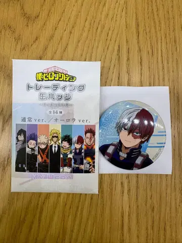 [ 토도로키 쇼토 & 엔데버 ] 나의 히어로 아카데미아 트레이딩 캔뱃지