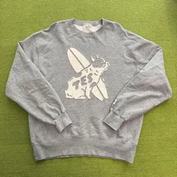 TES 프렌치 불독과 서핑보드 프린트의 그레이 트레이닝복