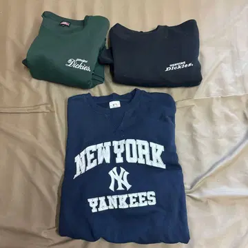 남성용 맨투맨 3종 세트 Dicikies x 3