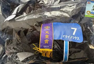 다이토 복권 A상 이퀴녹스 천황상 경마