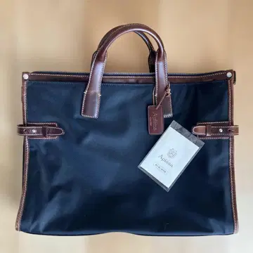 Apiana 비즈니스 백