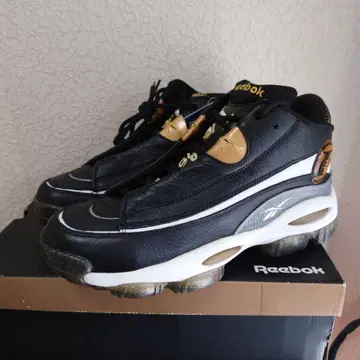 [미사용 새상품] THE ANSWER DMX 10